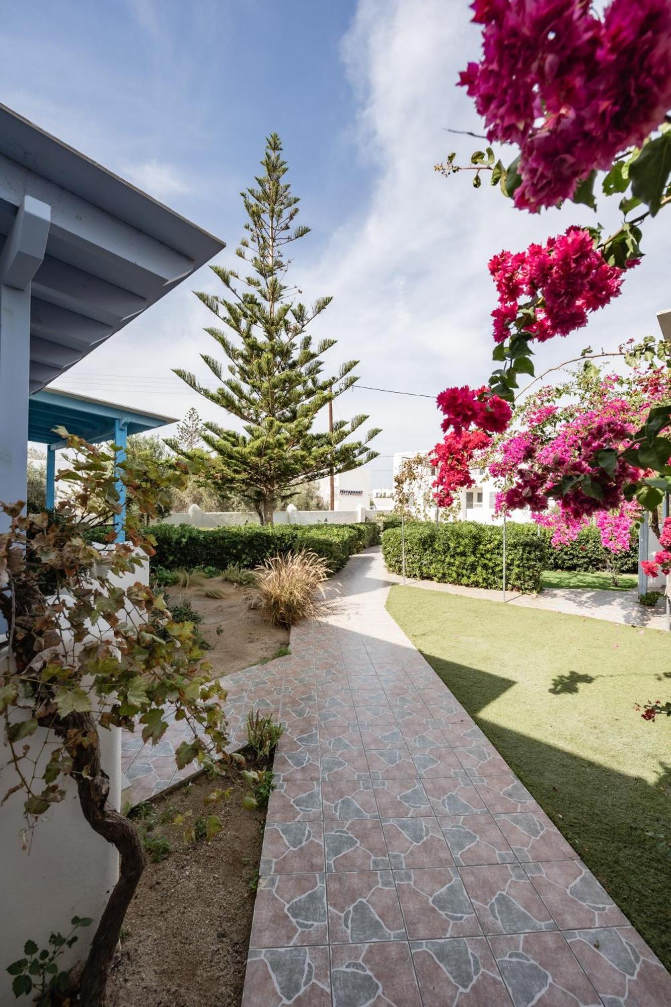 Aparthotel Aggeliki'S Diamond Agia Anna  Exterior foto