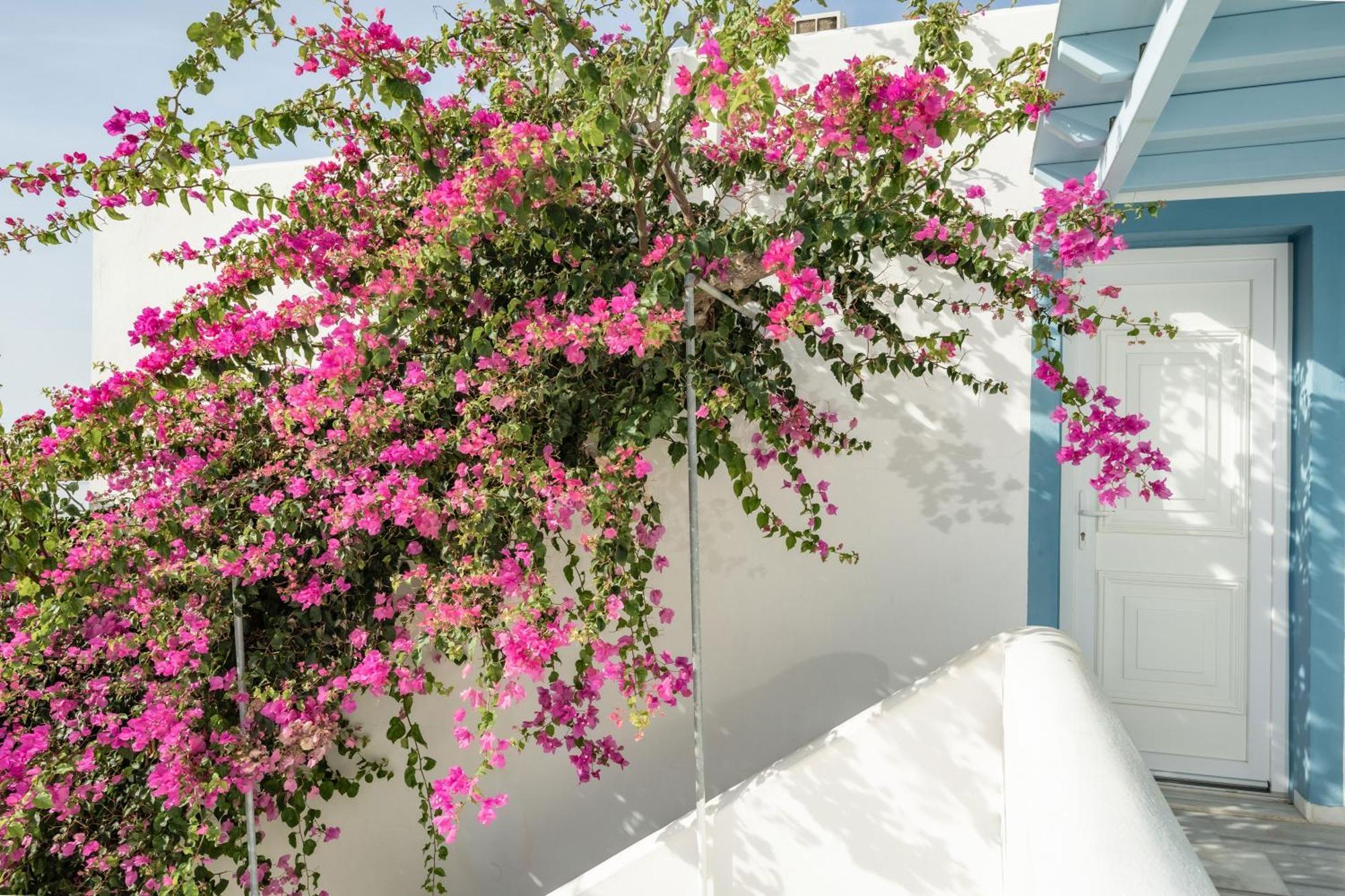 Aparthotel Aggeliki'S Diamond Agia Anna  Exterior foto